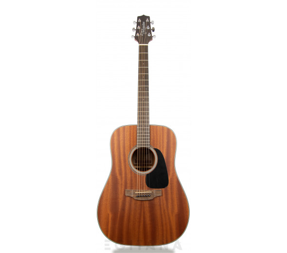 Takamine GD11M-NS