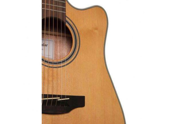 Takamine GD20CE-N
