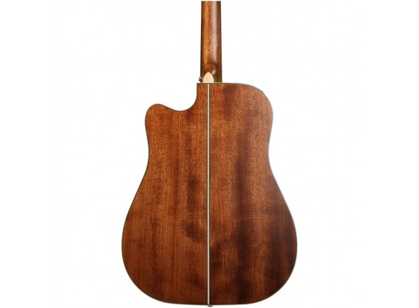Takamine GD20CE-N