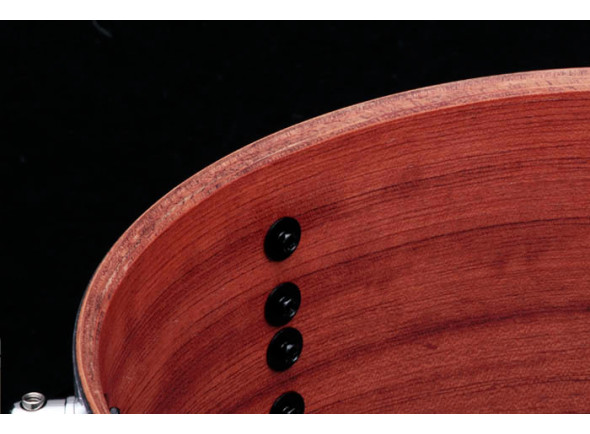 Tama MP1455BUN Mike Portnoy Signature Bubinga Snare Drum 14