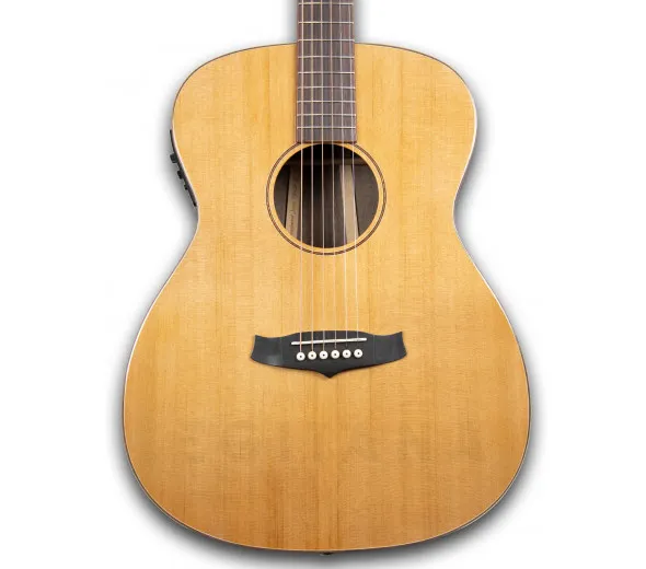 tanglewood-java-exotic-twjfe_601141fe1692c.webp