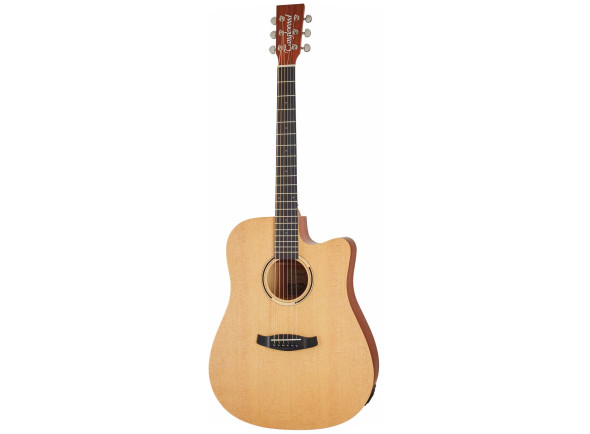 Tanglewood TR 5 CE