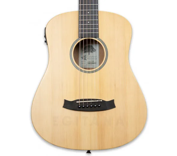 tanglewood-tw2-tse_601153747bd29.webp