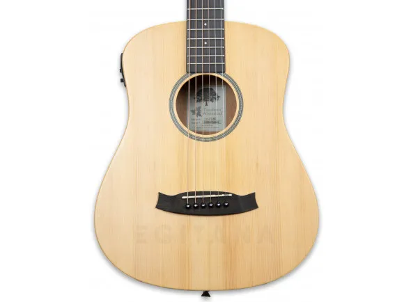 tanglewood-tw2-tse_606b10509ea91.webp