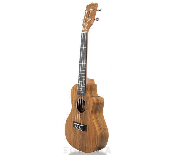 Tanglewood TWT 12E