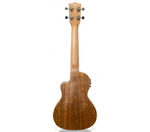 Tanglewood TWT 12E