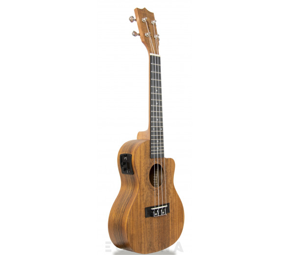 Tanglewood TWT 12E