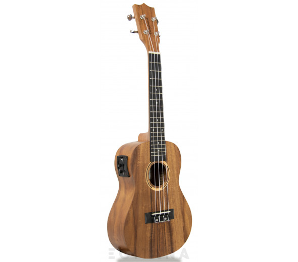 Tanglewood TWT 8 E