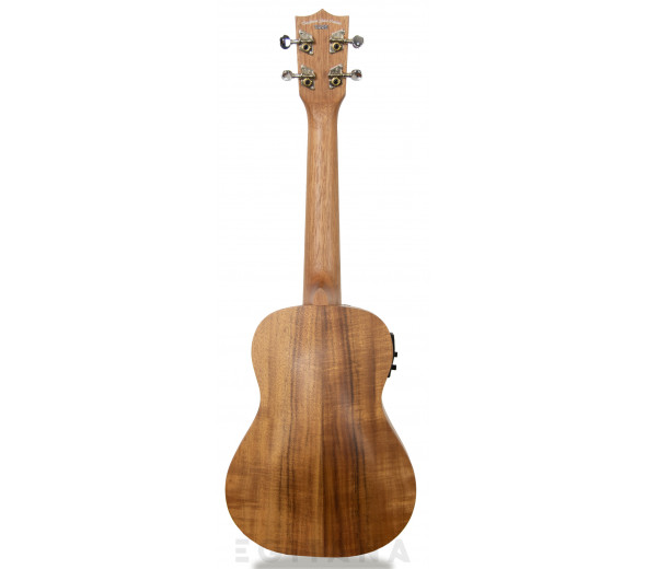 Tanglewood TWT 8 E