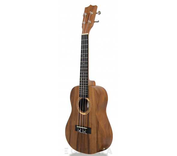 Tanglewood TWT 8 E