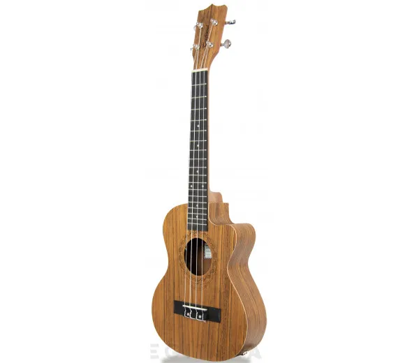 tanglewood-twt14e_605dcd65b324f.webp