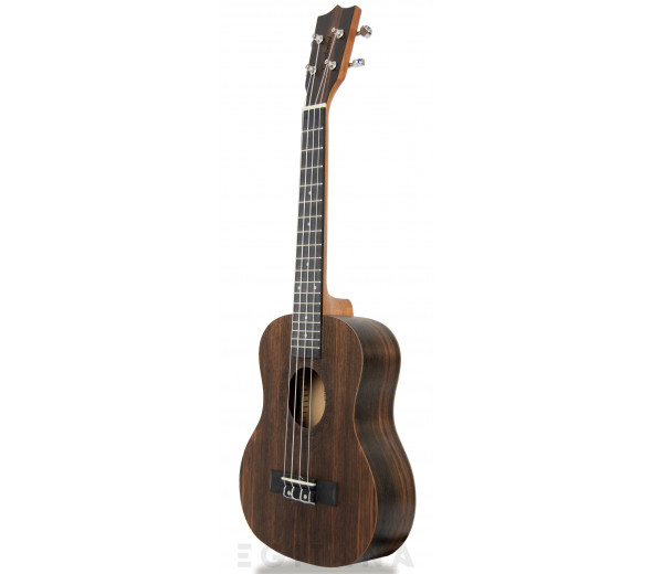 Tanglewood TWT19
