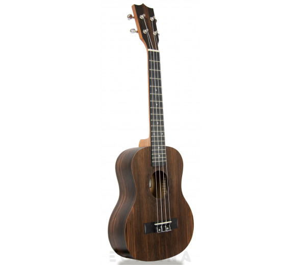 Tanglewood TWT19