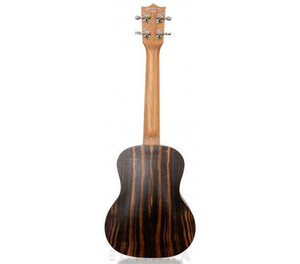 Tanglewood TWT19