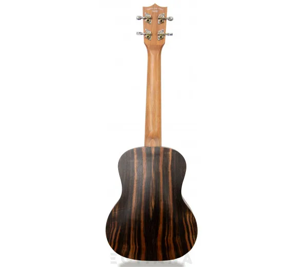 tanglewood-twt19_606196894b7a7.webp