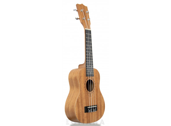 Tanglewood TWT1
