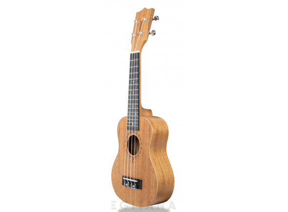 Tanglewood TWT1