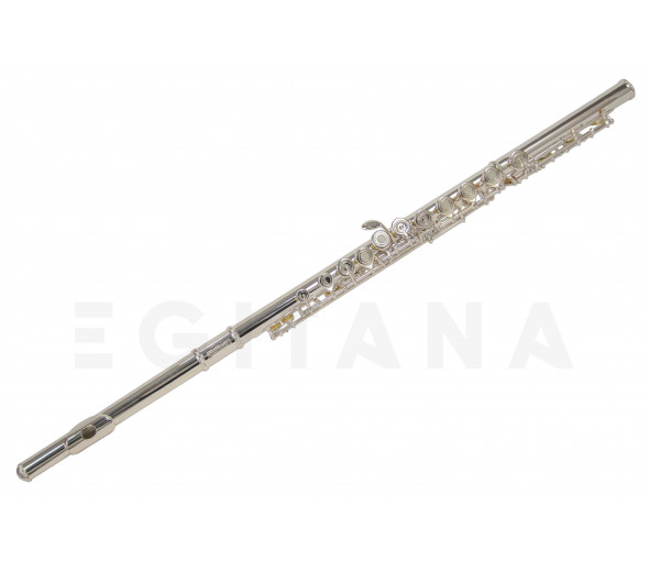 Wisemann DFl-480