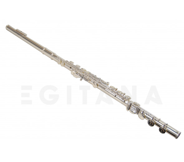 Wisemann DFl-480