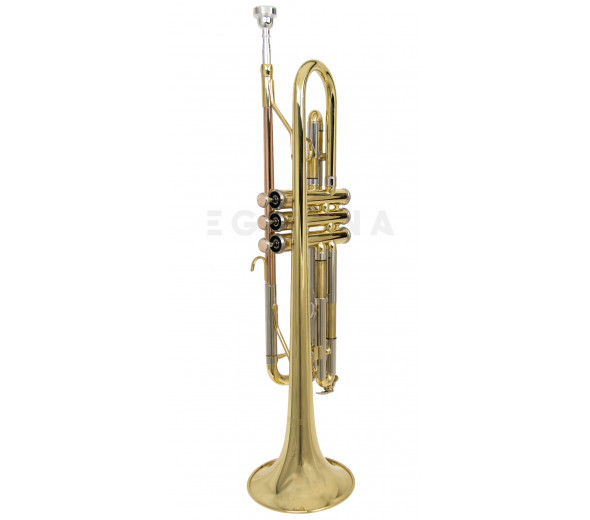 Wisemann DTR-200