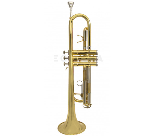 Wisemann DTR-200