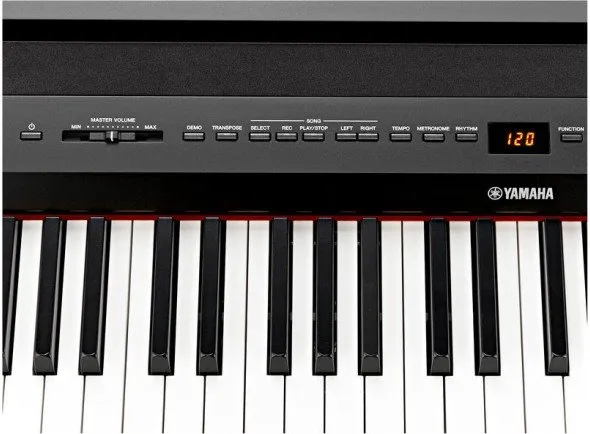 yamaha-p-255_563dda6795bf9.webp