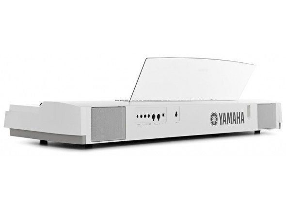 yamaha-p-255b_563ddc843110c.jpg