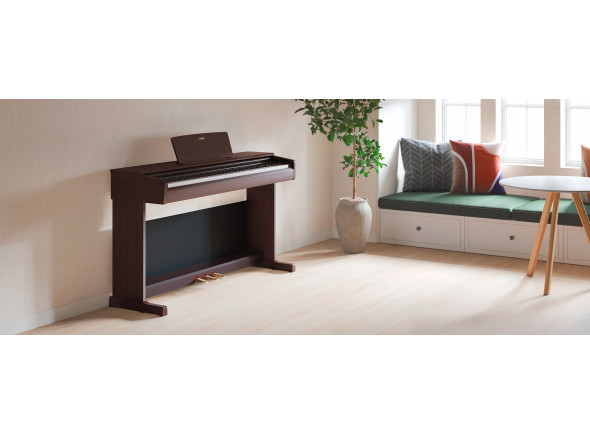 yamaha-ydp-146-r-arius_6a32a50053388.jpg